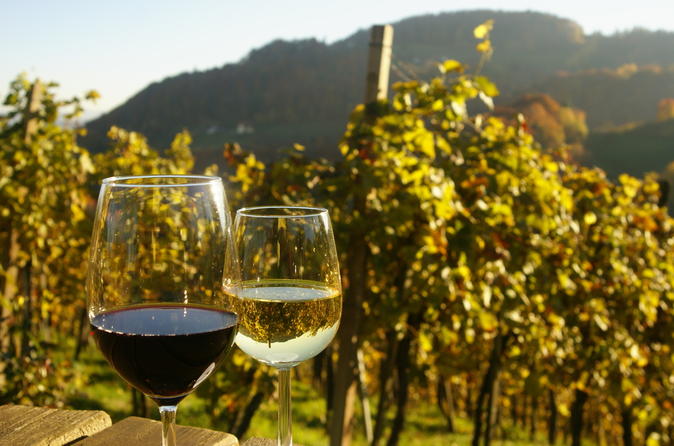 Austrian Wine Exports Rise