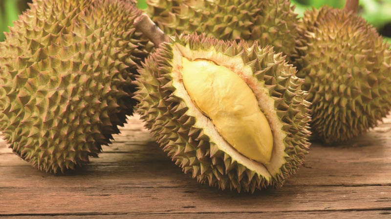 Enviromentalists Blame Demand of Durians in China For Deforestation