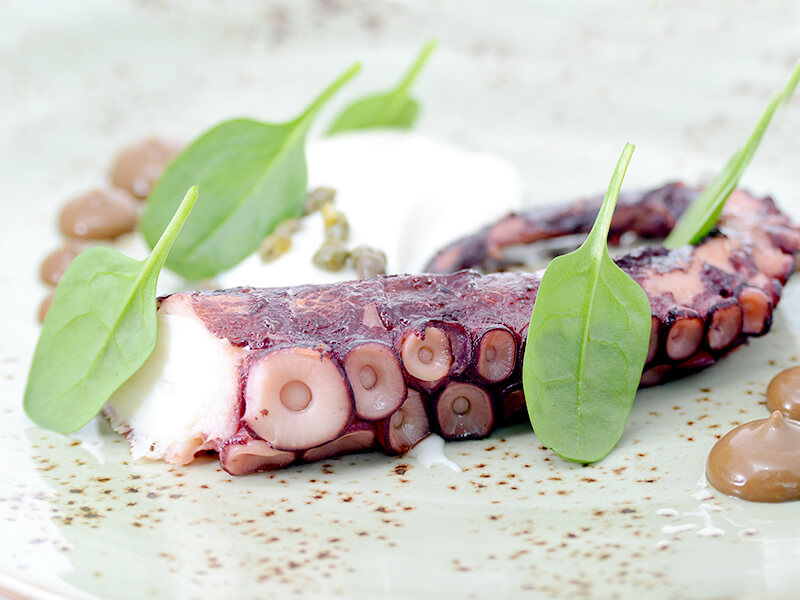 grilled octopus with caulifower parmentier, black garlic emulsion & caper