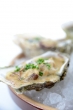granited oysters & morel mushrooms sauce