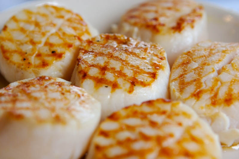 FYI-day FACTS: Scallops!
