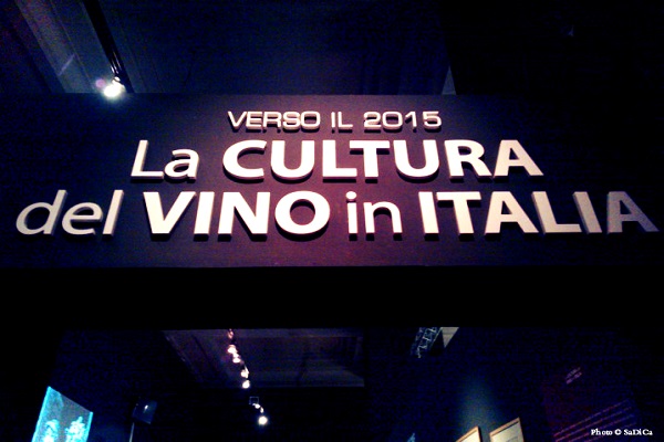 History Of Wine Exhibited