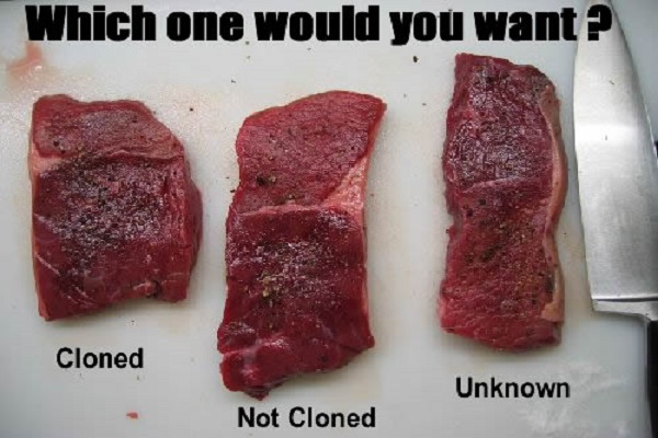 Cloned Meat To Go Off EU Menu