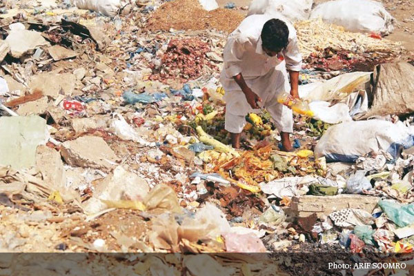 The impact of food wastage