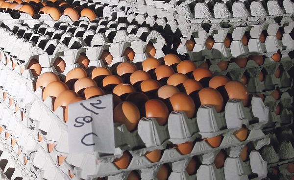 Supply shortfall lead to increase egg prices in Singapore