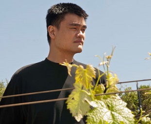 Yao Ming crowdfunds to float the Napa Valley name