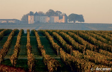 Sauternes producers to open wine co-operative