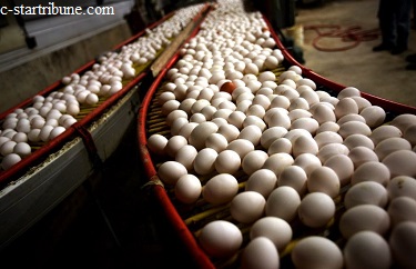 Egg prices scrambled, restaurants suffer