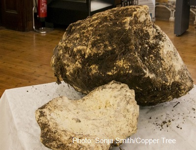 2,000-Year-Old Butter Discovered