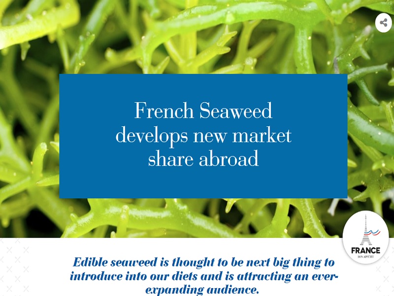 Edible seaweed in your diet: 14 million tons
