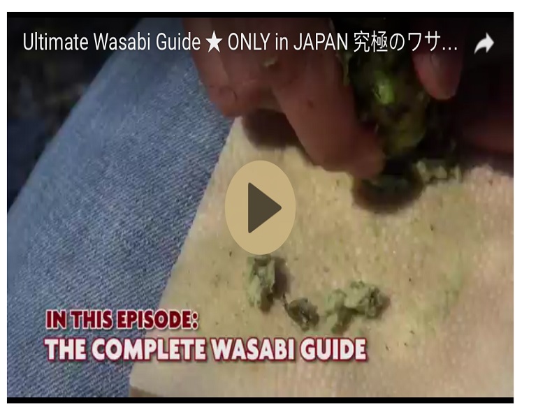 Wasabi Products: Including Beer and Ice Cream