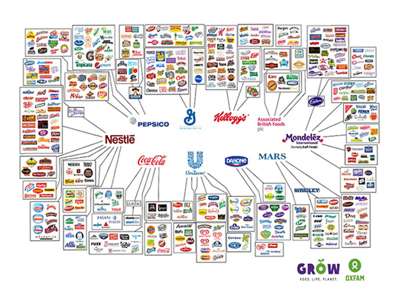 10 Companies That Own Everything You Buy