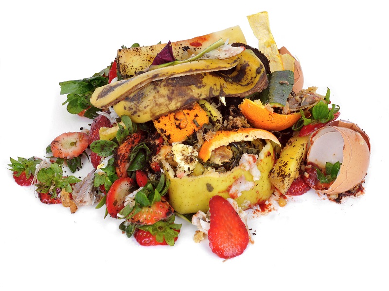 Widespread Food Waste Resulting in Squandered Nutrients