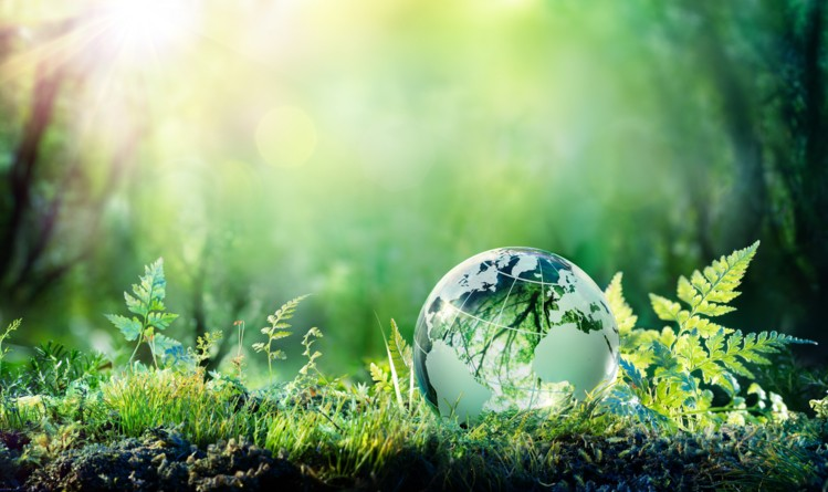 2019: The Landmark Year For Sustainable Food?