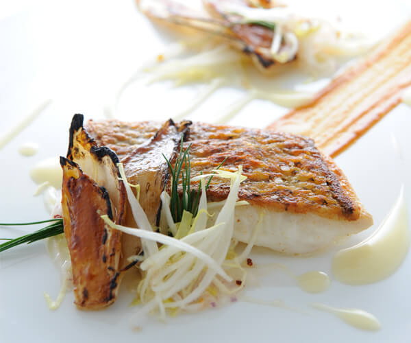 Pan-seared Sea Bream With Glazed Endive in Caramelised Miso