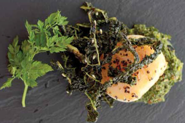 Seared scallop, crisp Savoy cabbage & chimichurri